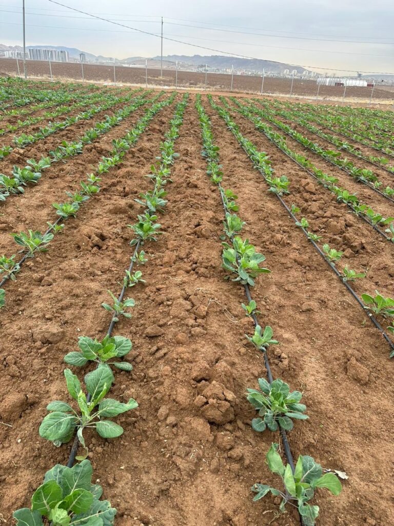 photo_2022-12-17_21-46-20 (2)