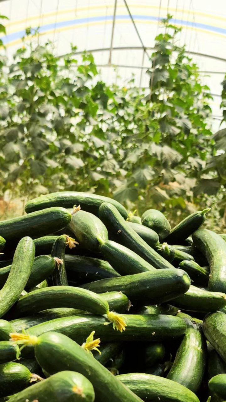 photo1687722983 (28)