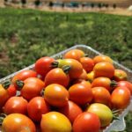 photo_2023-06-25_22-29-43