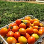 photo_2023-06-25_22-29-43 (2)