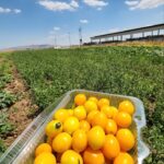 photo_2023-06-25_22-29-44